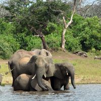 Okavango - Čarovný svet
